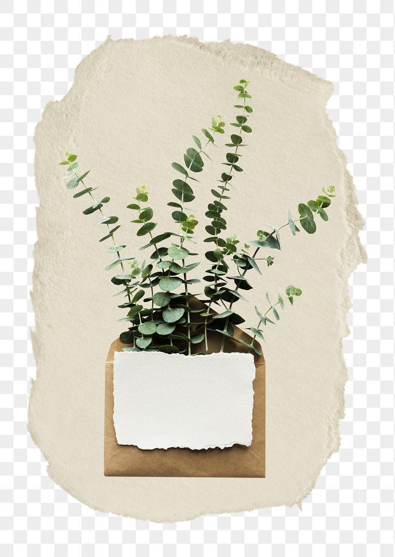 Leaf branch envelope png ripped | Free PNG - rawpixel