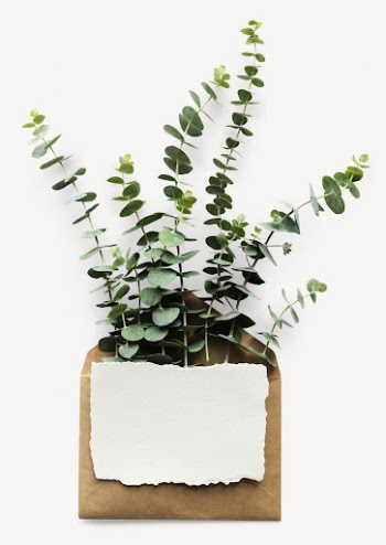 Leaf branch envelope sticker, aesthetic | Free PSD - rawpixel