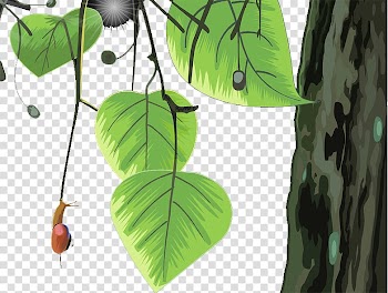 Leaf Branch Landscape Tree, tree transparent background PNG clipart