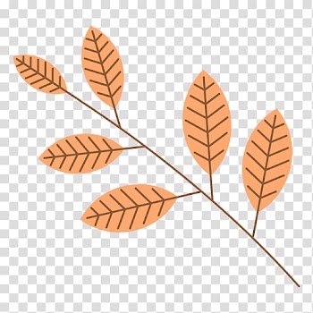 Leaf Branch, Leaf transparent background PNG clipart