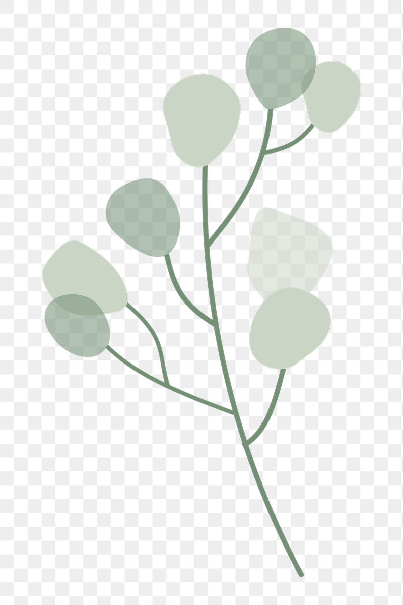 Leaf branch png sticker, transparent | Free PNG Illustration - rawpixel
