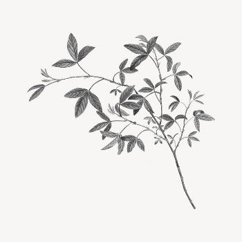 Leaf branch sticker, vintage illustration | Free PSD - rawpixel