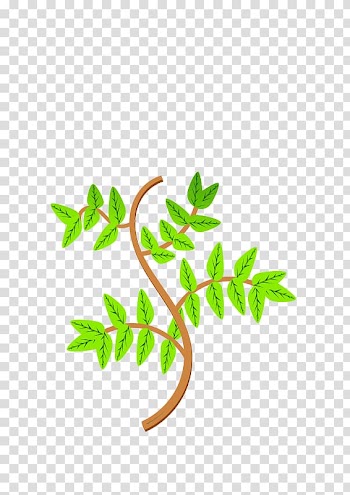 Leaf Branch Tree , Leaf transparent background PNG clipart