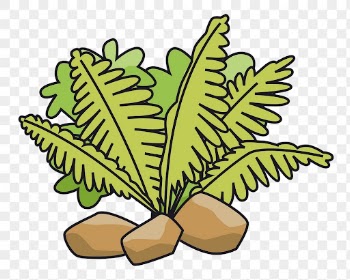 Leaf bush png sticker, botanical | Free PNG - rawpixel