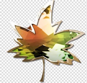 Leaf Butterfly Flowering plant Tree 2M, autumn leaf transparent background PNG clipart