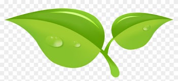 Leaf By Unspoken4eva - Leaf Drawing In Green Png