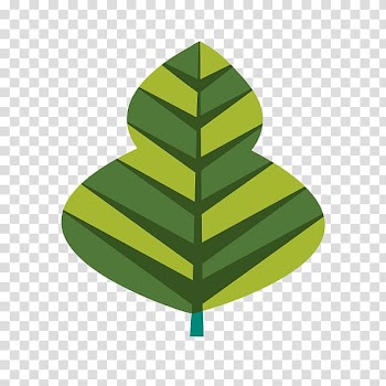 Leaf Calabash , Free free gourd leaves buckle elements transparent background PNG clipart