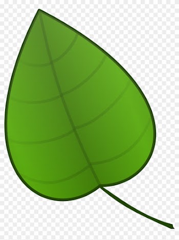 Leaf Cartoon