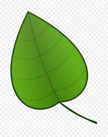 Leaf Cartoon Animation Clip art - green leaf 