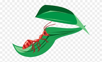 Leaf, Cartoon, Ant, Leaves, Insect - Ant On A Leaf Clipart