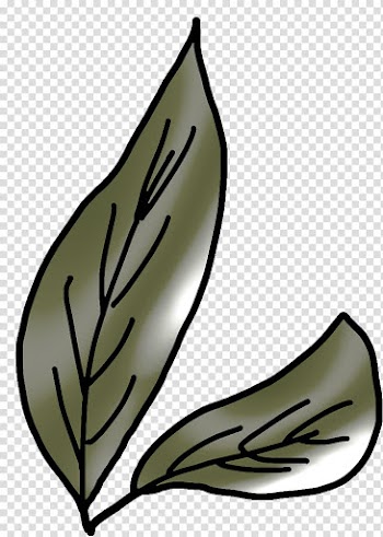 Leaf Cartoon Branch , Leaves transparent background PNG clipart