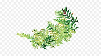 Leaf Cartoon Comics - Cartoon painted green leaves 