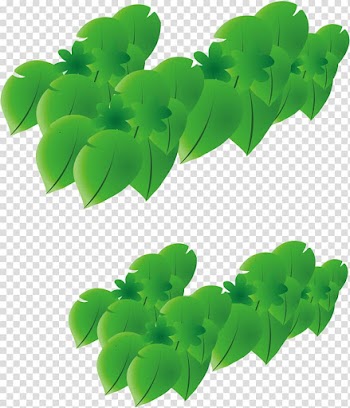 Leaf Cartoon, Into leaves transparent background PNG clipart