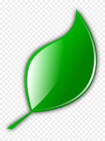 Leaf - Cartoon Leaf Transparent Background