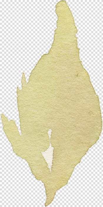 Leaf Chemical element Transparency and translucency, Leaves falling leaves element element transparent background PNG clipart