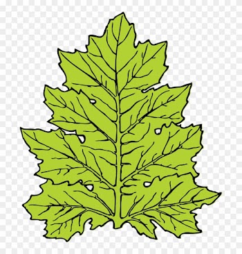 Leaf Clip Art