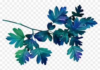 Leaf Clip Art - Blue Leaves Png