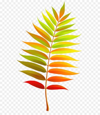 Leaf Clip art - Colorful Transparent Fall Leaf Clipart 
