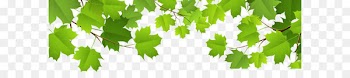 Leaf Clip art - Decorative Leaves Transparent PNG Clip Art Image 
