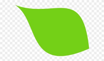 Leaf Clip Art - Green Leaf Clipart