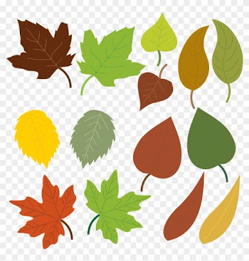 Leaf Clip Art Images - Formas De Hojas De Arboles