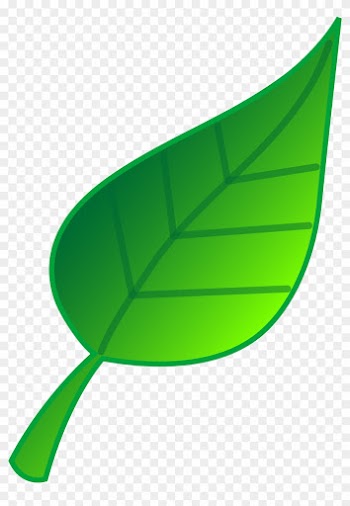Leaf Clip Art Images Free Clipart Images - Clip Art Of Leaf