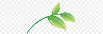 Leaf Clip art - Leaf 