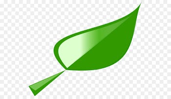 Leaf Clip art - Leaf 