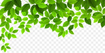 Leaf Clip art - Leaf 