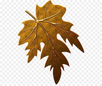 Leaf Clip art - Leaf 