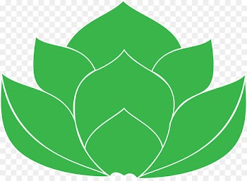 Leaf Clip art Line Flower Tree - pune border 