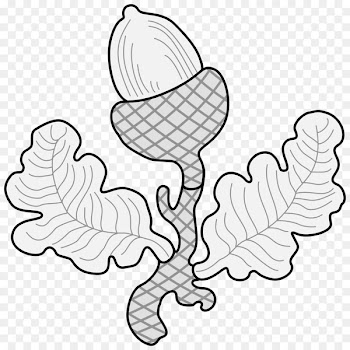 Leaf Clip art Plant stem Oak Food - leaf 