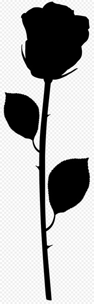 Leaf Clip art Plant stem Silhouette Flowering plant -  