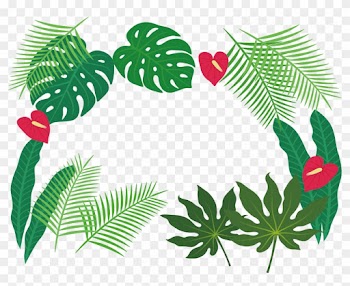 Leaf Clip Art - Tropical Leaves Borders Png