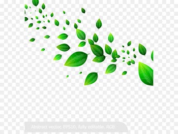 Leaf Clip art - When fresh green leaves vector material 