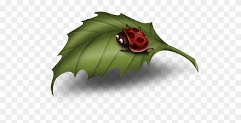 Leaf Clipart Cartoon - Ladybird On Leaf Clipart