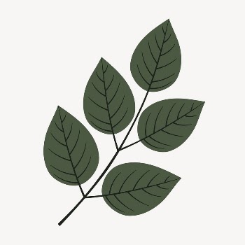 Leaf clipart, cute cartoon illustration | Free PSD Illustration - rawpixel