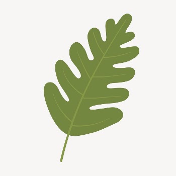 Leaf clipart, cute cartoon illustration | Free PSD Illustration - rawpixel