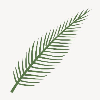 Leaf clipart, cute cartoon illustration | Free PSD Illustration - rawpixel