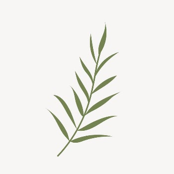 Leaf clipart, cute cartoon illustration | Free PSD Illustration - rawpixel