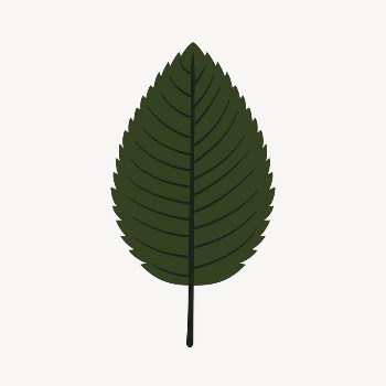Leaf clipart, cute cartoon illustration | Free PSD Illustration - rawpixel