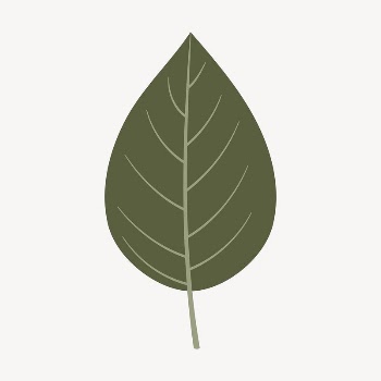 Leaf clipart, cute cartoon illustration | Free PSD Illustration - rawpixel