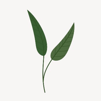 Leaf clipart, cute cartoon illustration | Free PSD Illustration - rawpixel