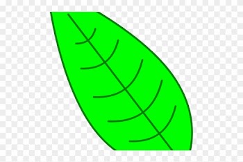 Leaf Clipart Easy - Leaf Clipart Easy