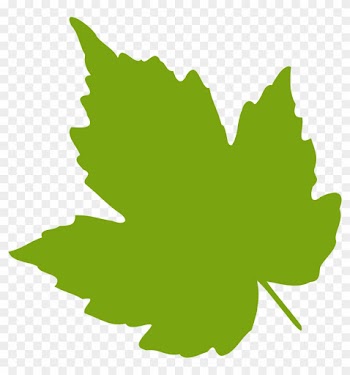 Leaf - Clipart - Grape Leaf Clip Art