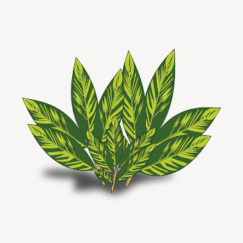 Leaf clipart illustration psd. Free | Free PSD - rawpixel