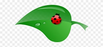 Leaf Clipart Ladybug - Ladybug On A Leaf Clipart