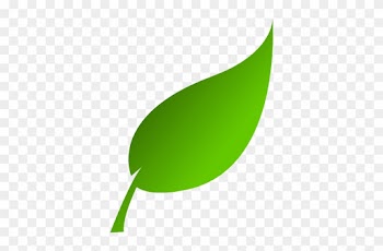 Leaf Clipart - Leaf Clip Art Png