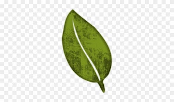 Leaf Clipart Natural - Natural Leaf Clipart