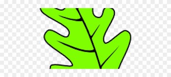 Leaf Clipart Oak Leaf - Oak